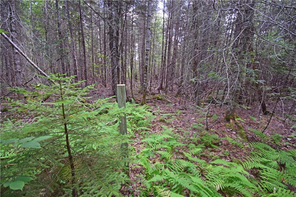 1 Ricker Road Carroll Plt, ME 04487 - Photo 5 of 14 Photo