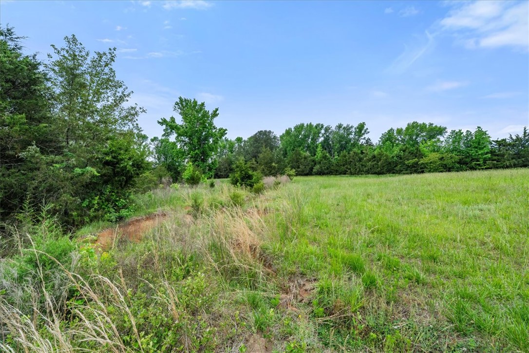 0 Highway 81 South Iva, SC 29655 - Photo 19 of 44