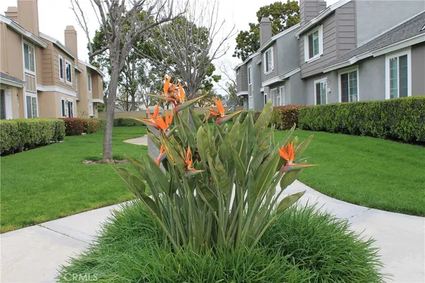 $3,800 | 73 Fox Hollow, Irvine, CA 92614