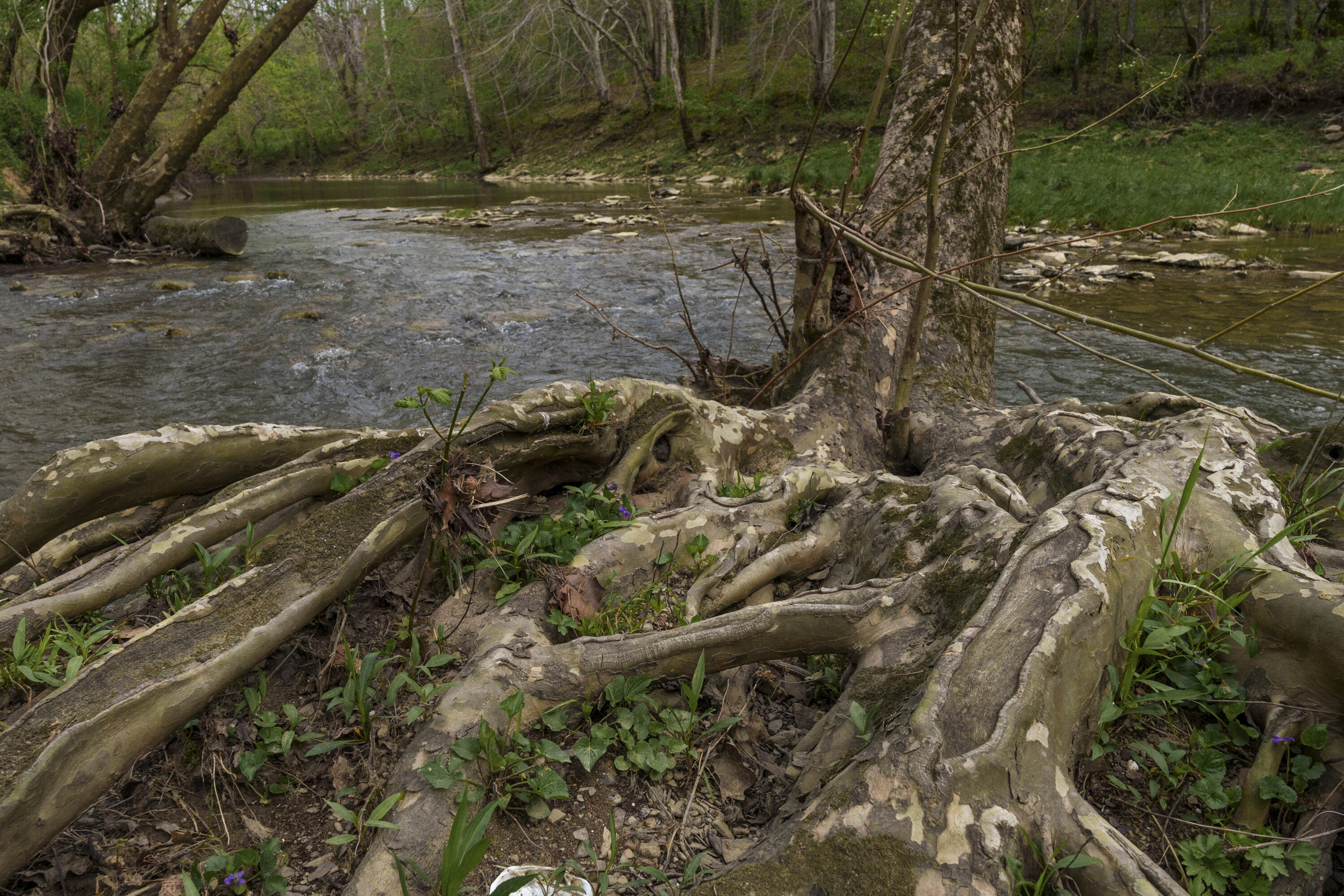 1500 Clarks Cr Road Dry Ridge, KY 41035 - Photo 43 of 50