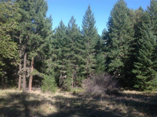9050 Hillcrest Road Eagle Point, OR 97524 - Photo 18 of 22 Additional Photo