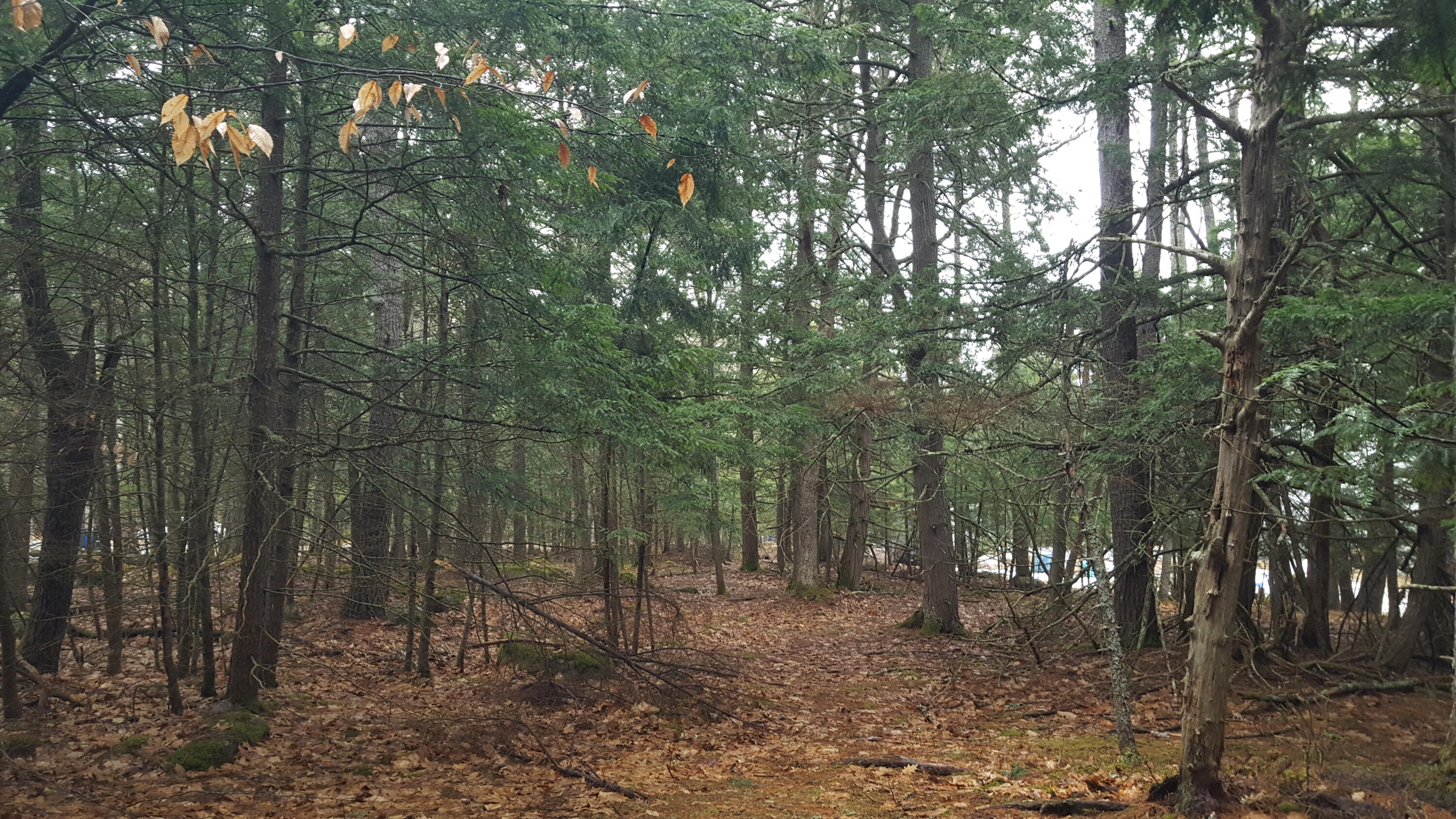 53 Johnson Road Windham, ME 04062 - Photo 18 of 22