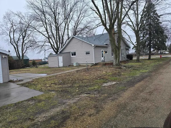 a yard with a large tree