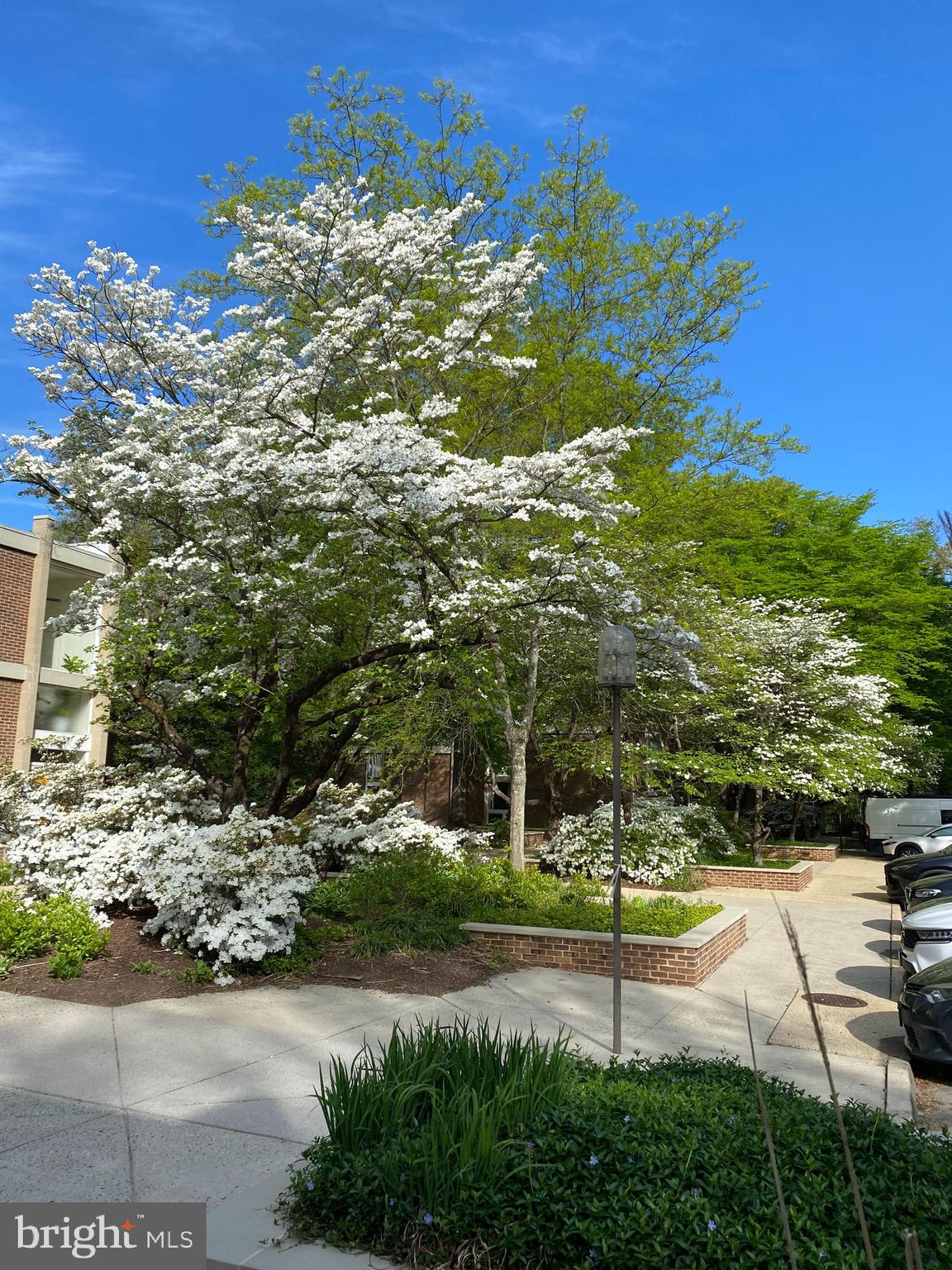 11509 Maple Ridge Road Reston, VA 20190 - Photo 43 of 51 Gallery Image 43