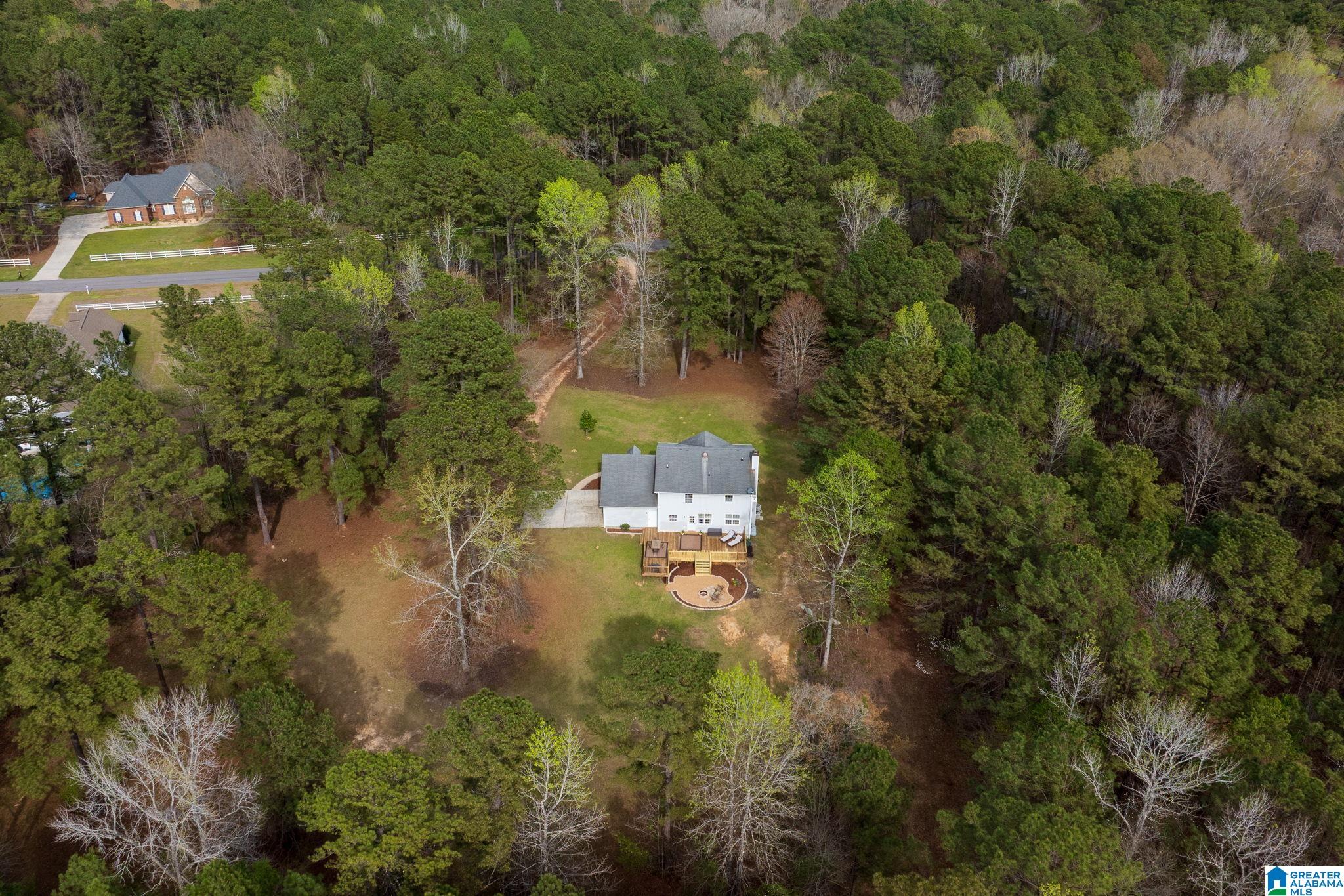 324 Dorough Road Columbiana, AL 35051 - Photo 68 of 70