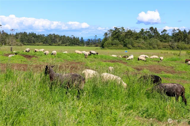 $2,665,000 | 886 West Beach Road, Coupeville, WA 98239