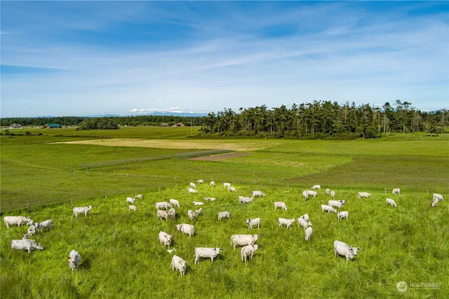 $2,665,000 | 886 West Beach Road, Coupeville, WA 98239