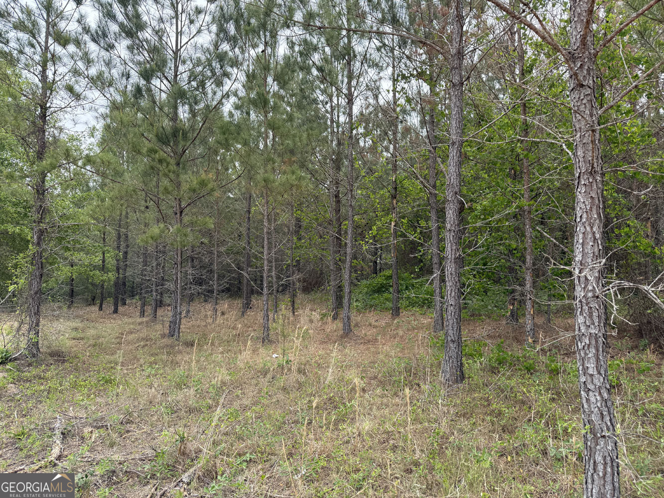 9 Cedar Grove Dublin, GA 31021 - Photo 4 of 11