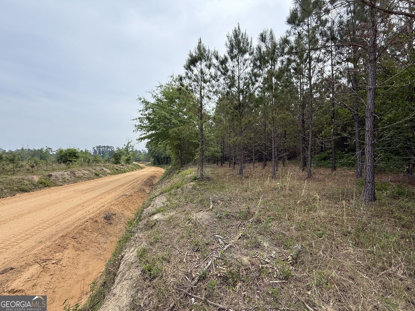 9 Cedar Grove Dublin, GA 31021 - Photo 8 of 11