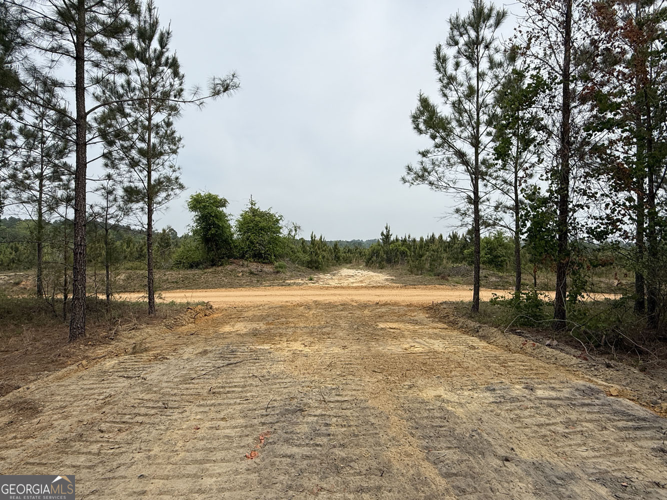 9 Cedar Grove Dublin, GA 31021 - Photo 10 of 11