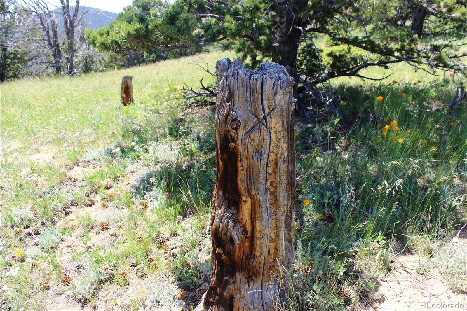 1595 Missouri Gulch Road Black Hawk, CO 80422 - Photo 32 of 49