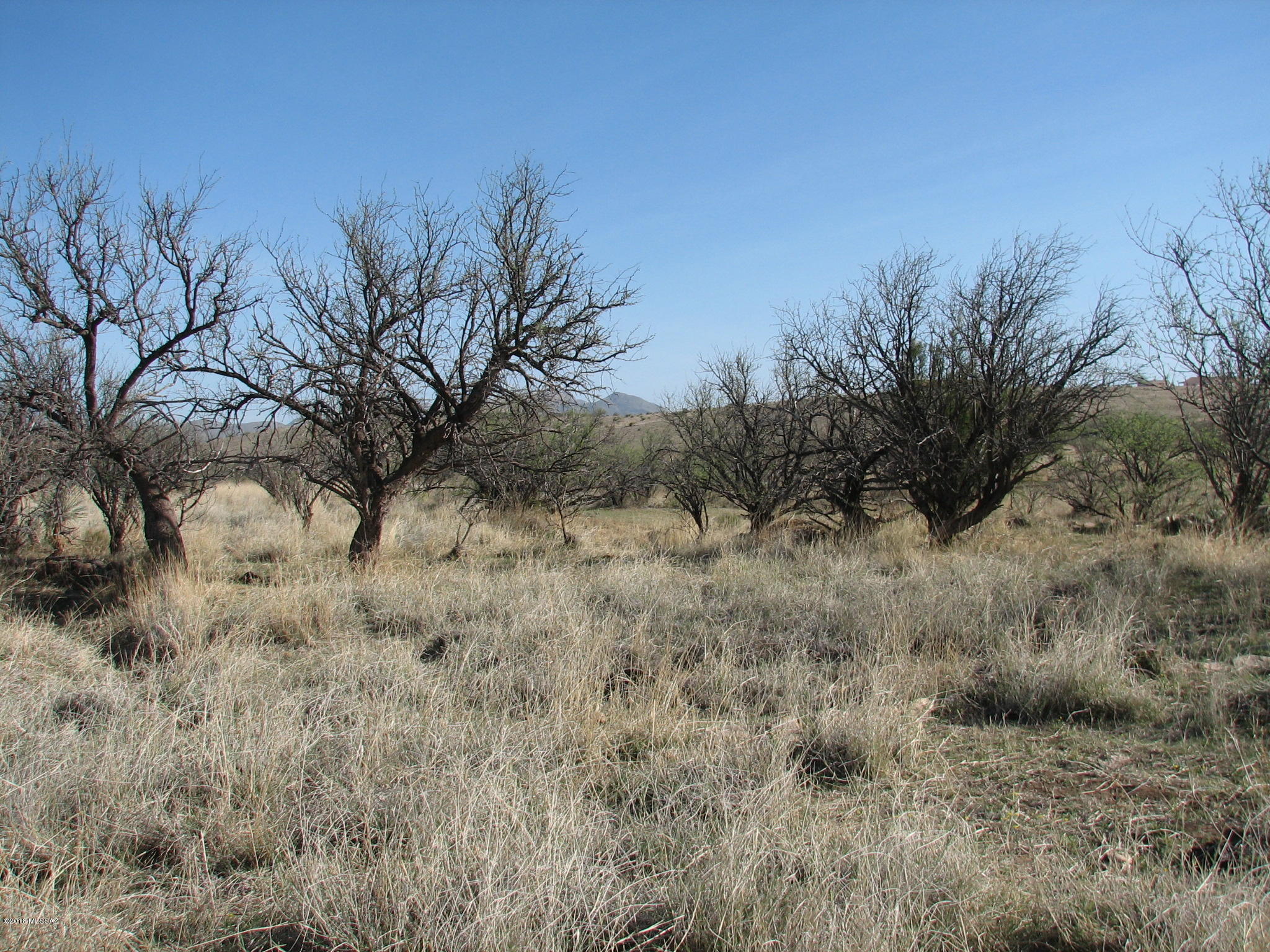 8-59 Ac Mama Fish Road Benson, AZ 85602 - Photo 3 of 8 Gallery Image 3