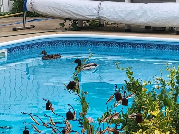 $389,900 | 829 Thorntree Boulevard, Jackson, MI 49203