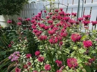 $389,900 | 829 Thorntree Boulevard, Jackson, MI 49203