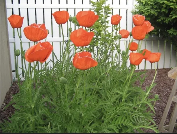 $389,900 | 829 Thorntree Boulevard, Jackson, MI 49203