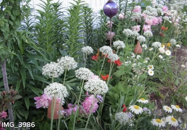 $389,900 | 829 Thorntree Boulevard, Jackson, MI 49203