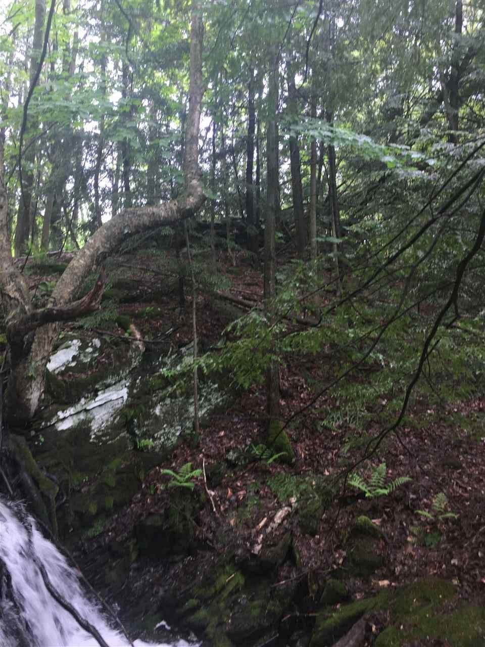 56 Pond Brook Road Hinesburg, VT 05461 - Photo 1 of 16