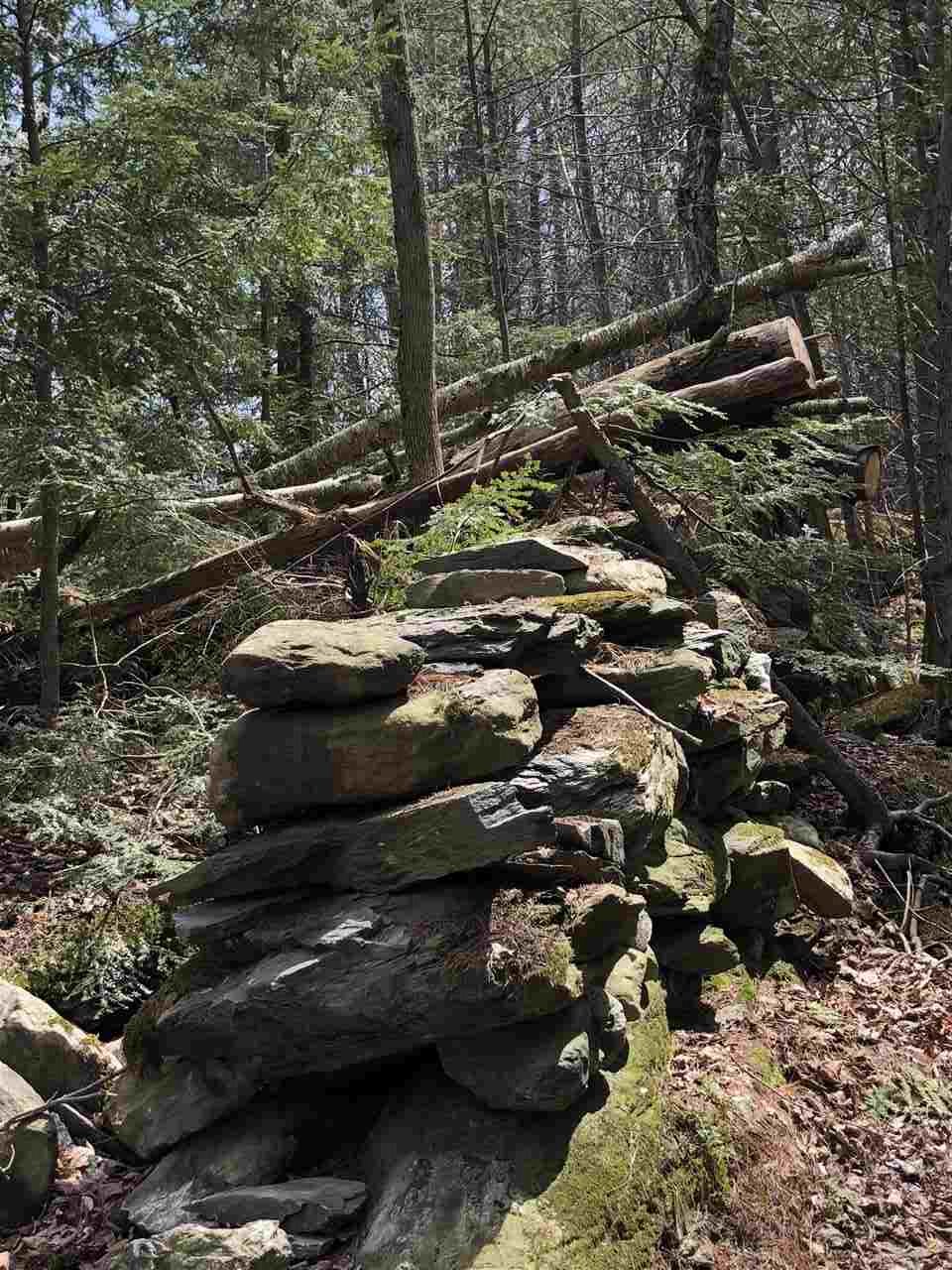 56 Pond Brook Road Hinesburg, VT 05461 - Photo 11 of 16