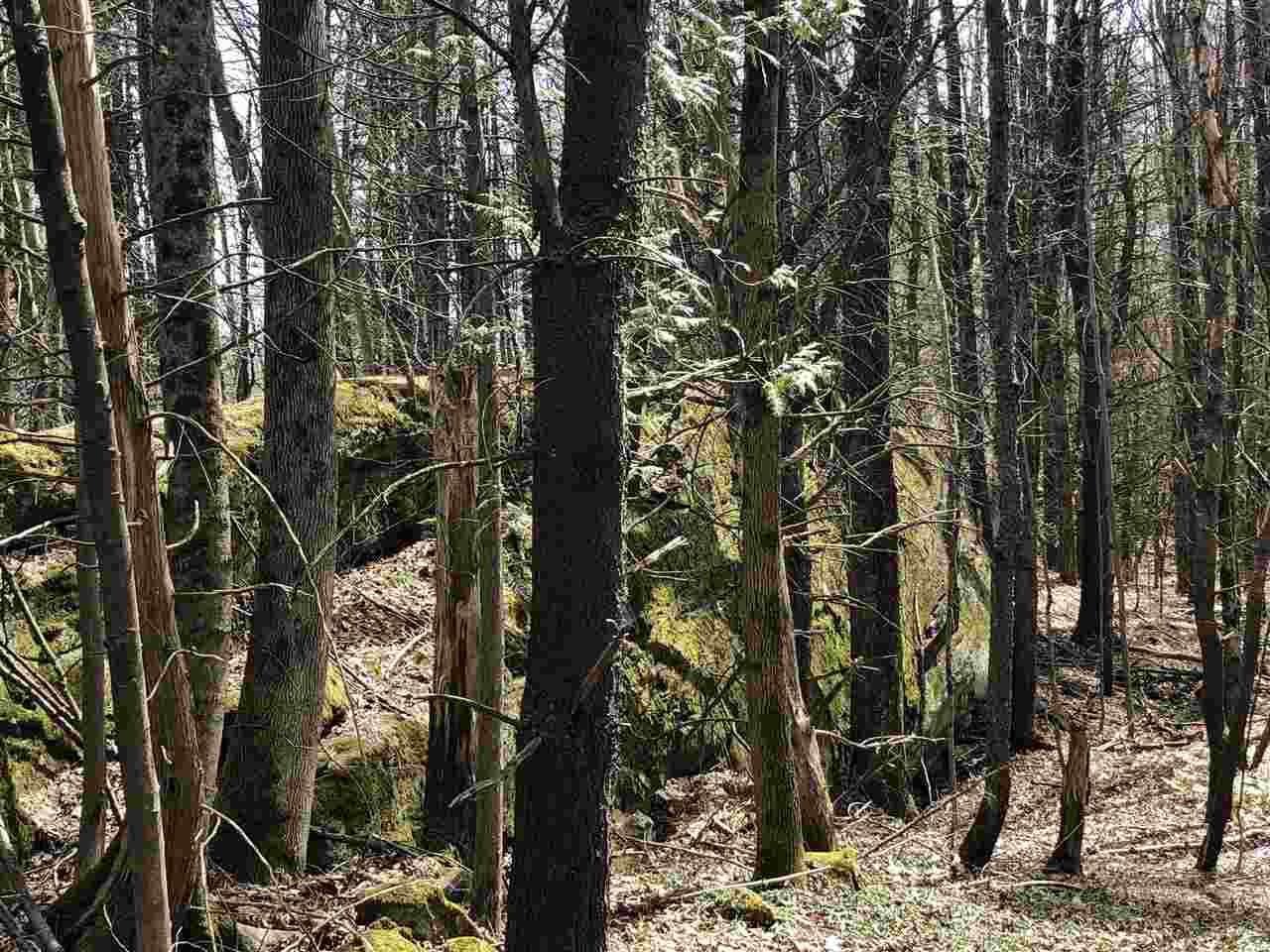 56 Pond Brook Road Hinesburg, VT 05461 - Photo 12 of 16