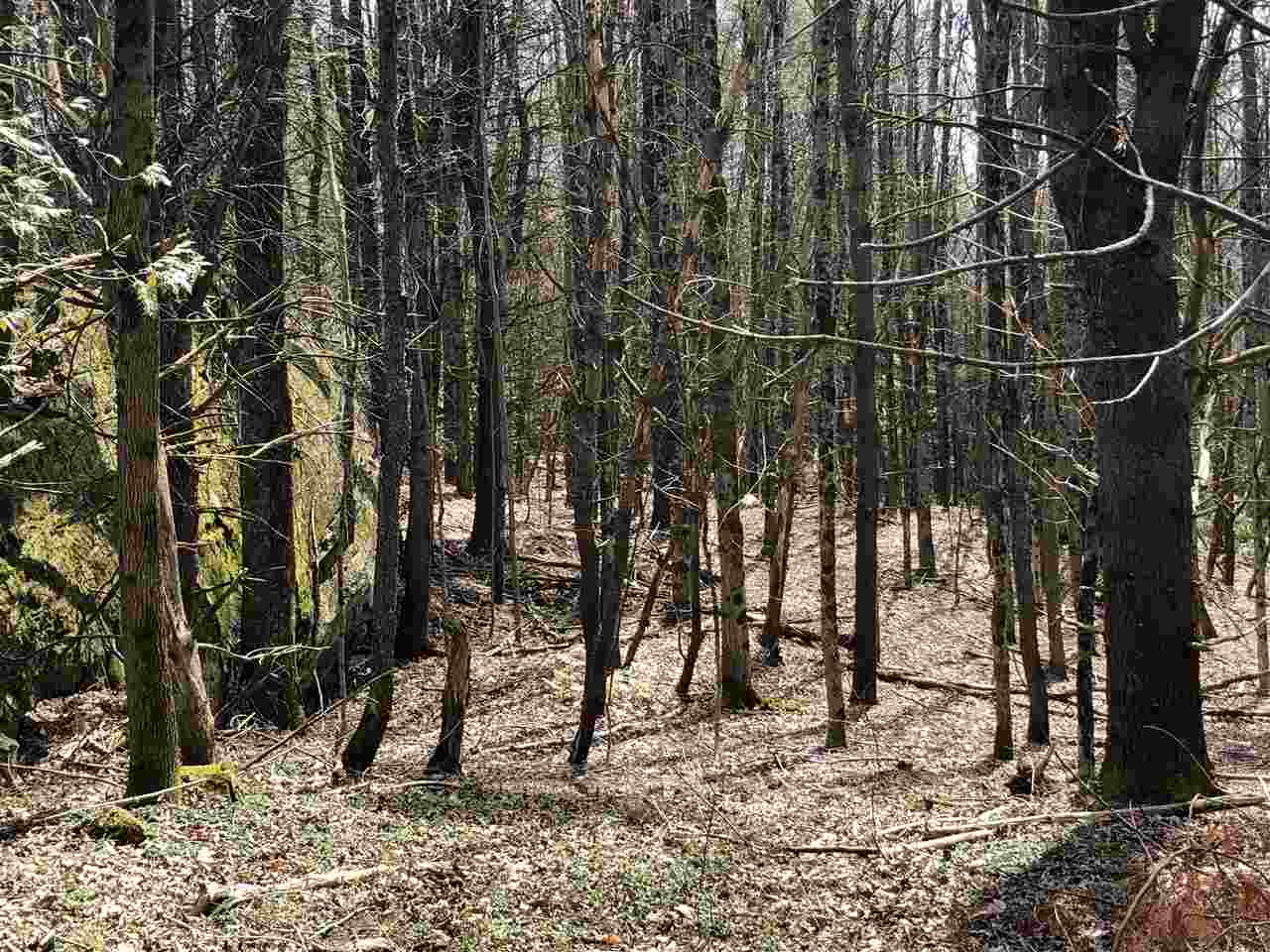 56 Pond Brook Road Hinesburg, VT 05461 - Photo 13 of 16