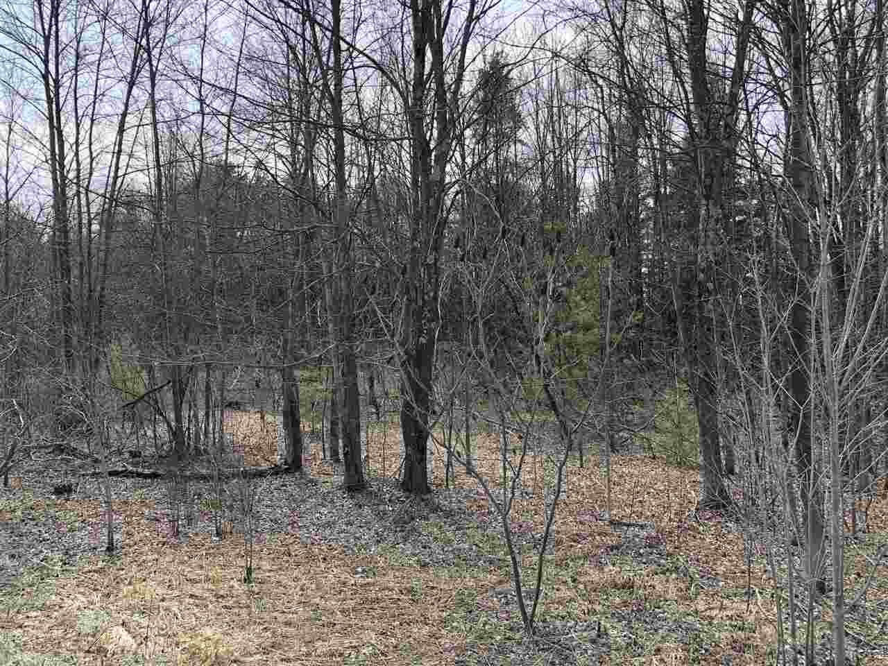 56 Pond Brook Road Hinesburg, VT 05461 - Photo 4 of 16