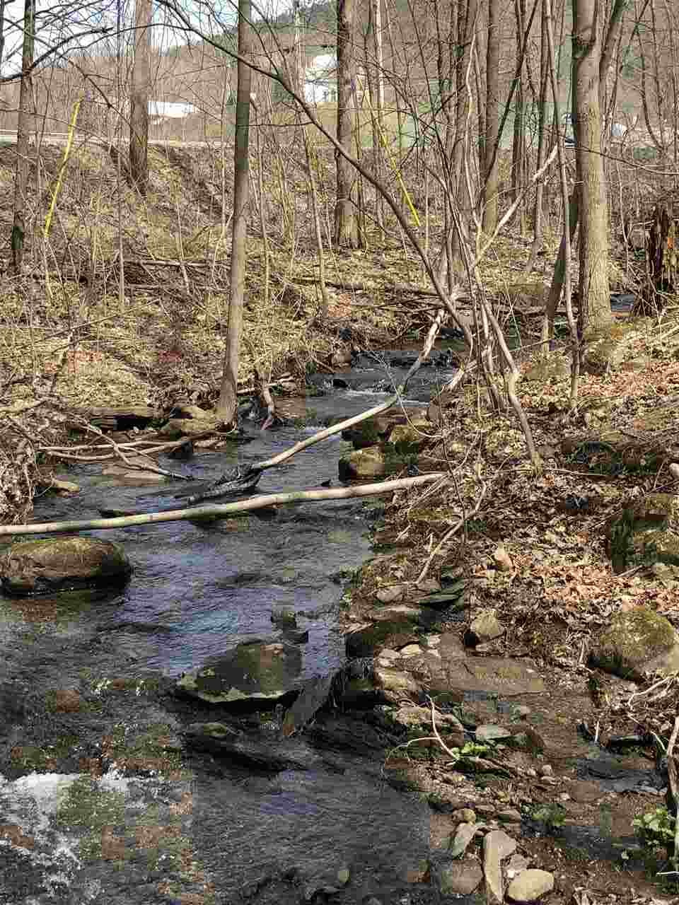 56 Pond Brook Road Hinesburg, VT 05461 - Photo 9 of 16