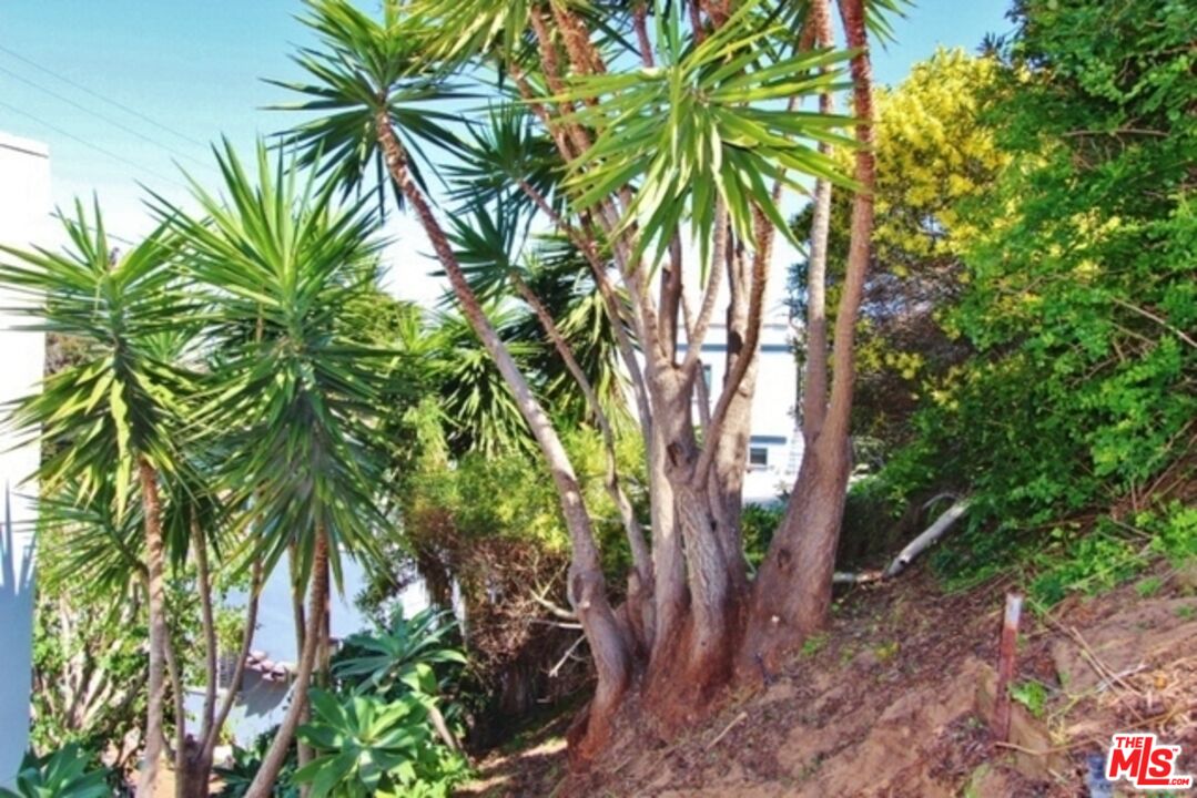 372 Pershing Drive Playa del Rey, CA 90293 - Photo 19 of 26