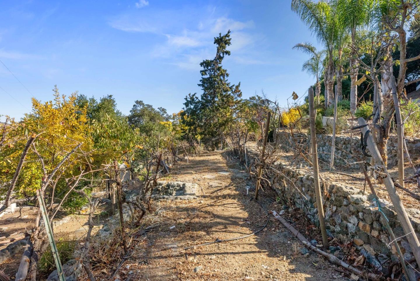 20394 Almaden Road San Jose, CA 95120 - Photo 85 of 92