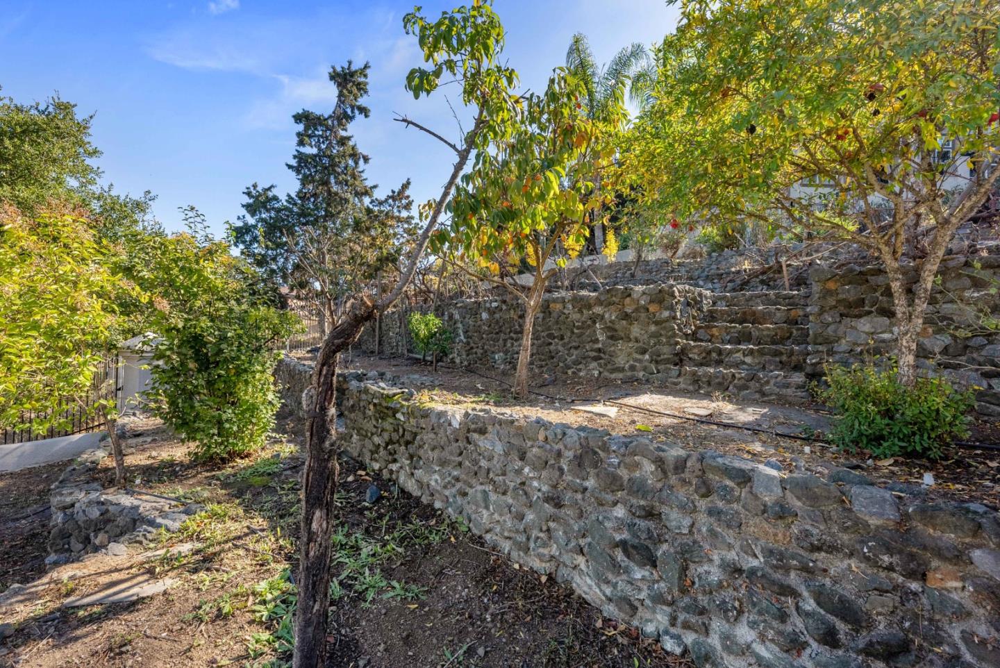 20394 Almaden Road San Jose, CA 95120 - Photo 86 of 92 a view of a yard with plants and trees