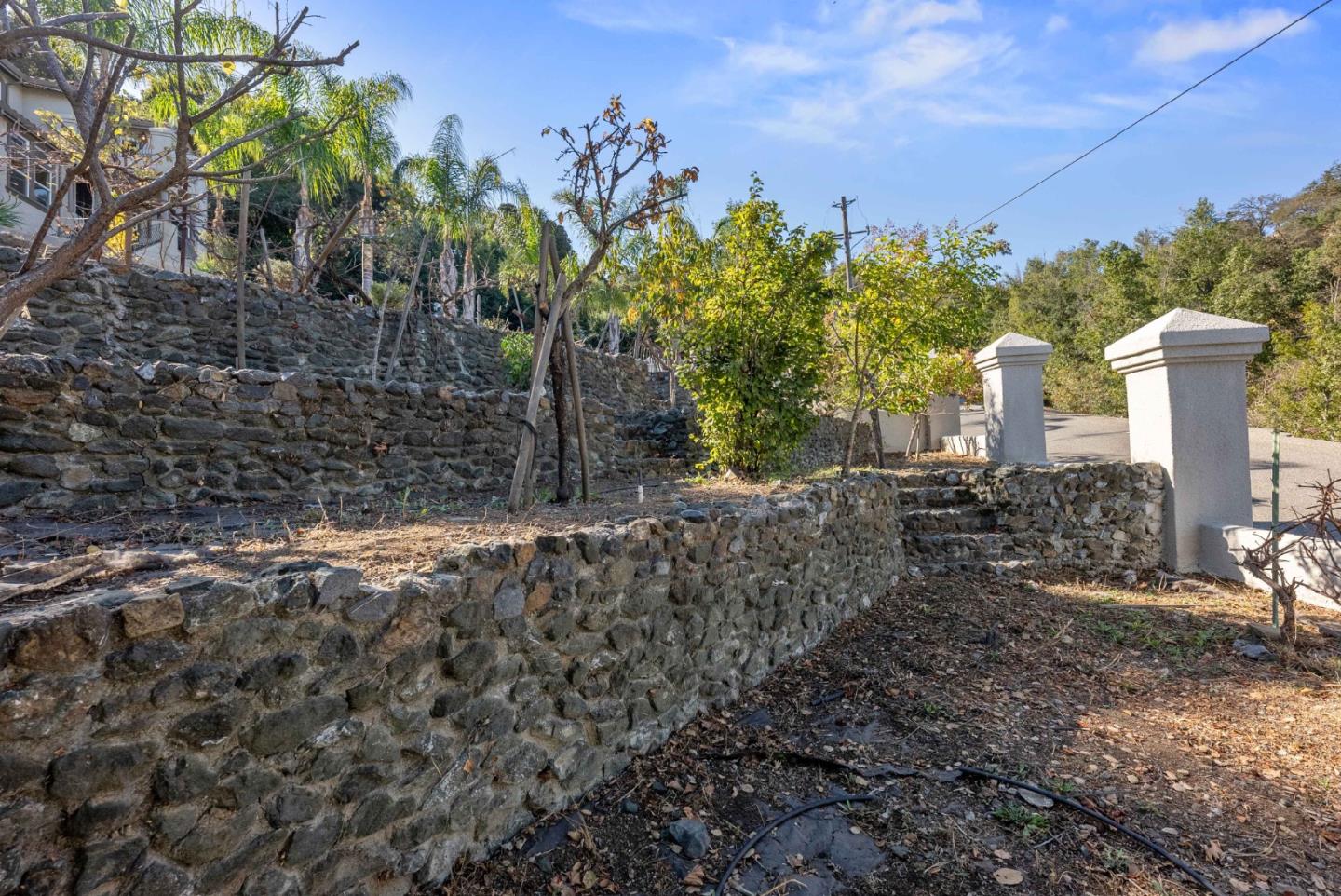 20394 Almaden Road San Jose, CA 95120 - Photo 87 of 92 a view of a garden with large trees