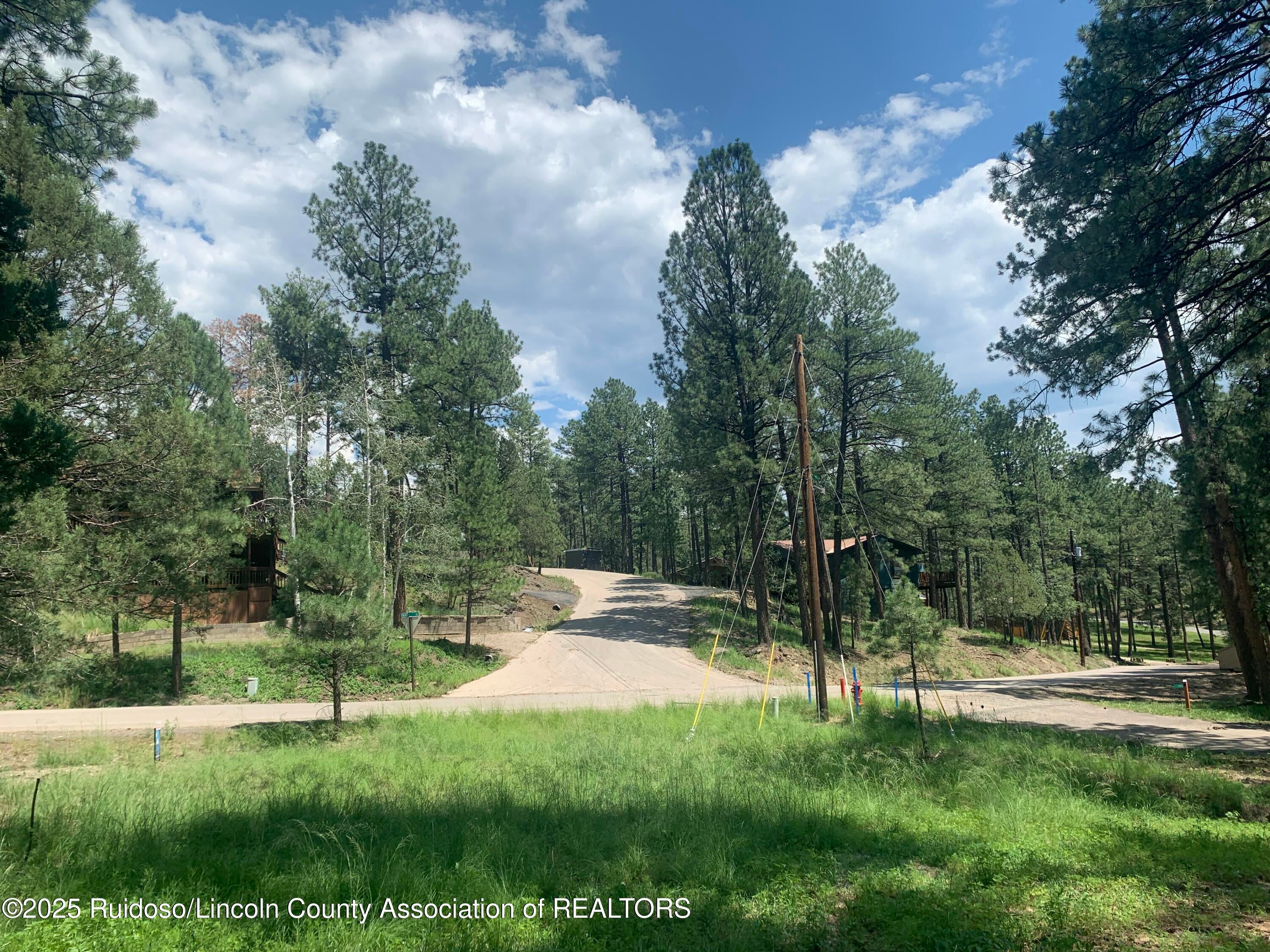 107 Mary Drive Ruidoso, NM 88345 - Photo 1 of 1 IMG_4595
