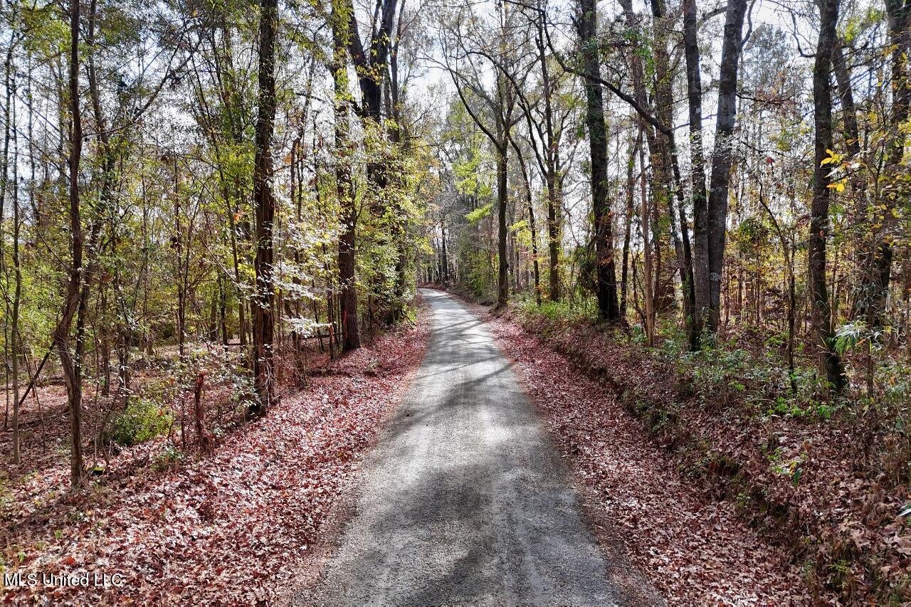 8221 Gordon Station Road Port Gibson, MS 39150 - Photo 3 of 25 DJI_20251203123532_0787_D_8_D_9_D