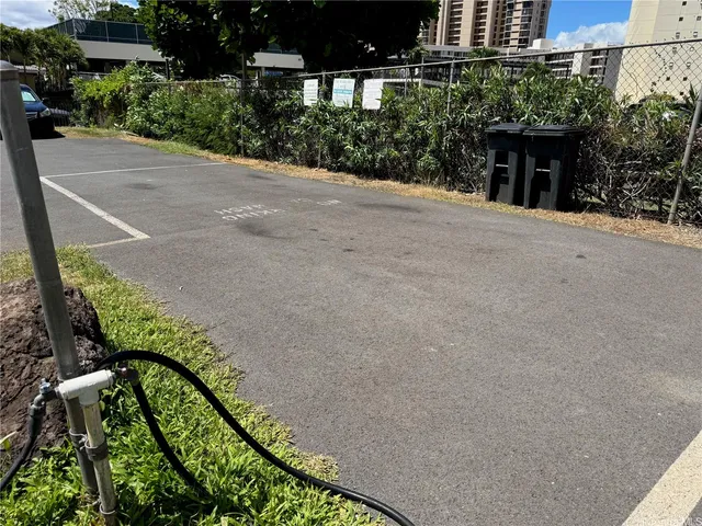 a view of a garden with pathway