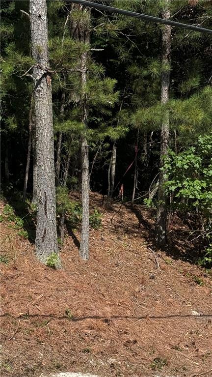 8 Sweetwater Bend Villa Rica, GA 30180 - Photo 12 of 12 a view of outdoor space