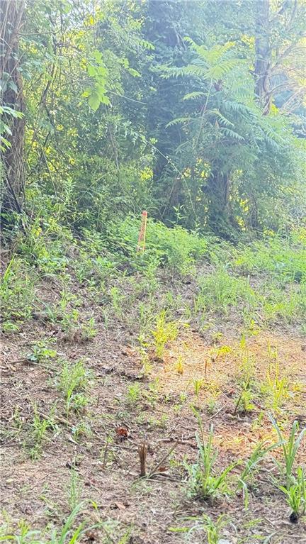 8 Sweetwater Bend Villa Rica, GA 30180 - Photo 3 of 12 a yard with a trees