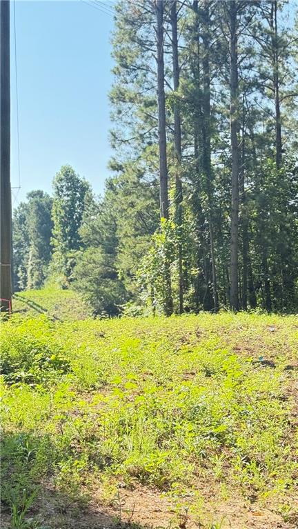 8 Sweetwater Bend Villa Rica, GA 30180 - Photo 4 of 12 a view of a yard with an trees