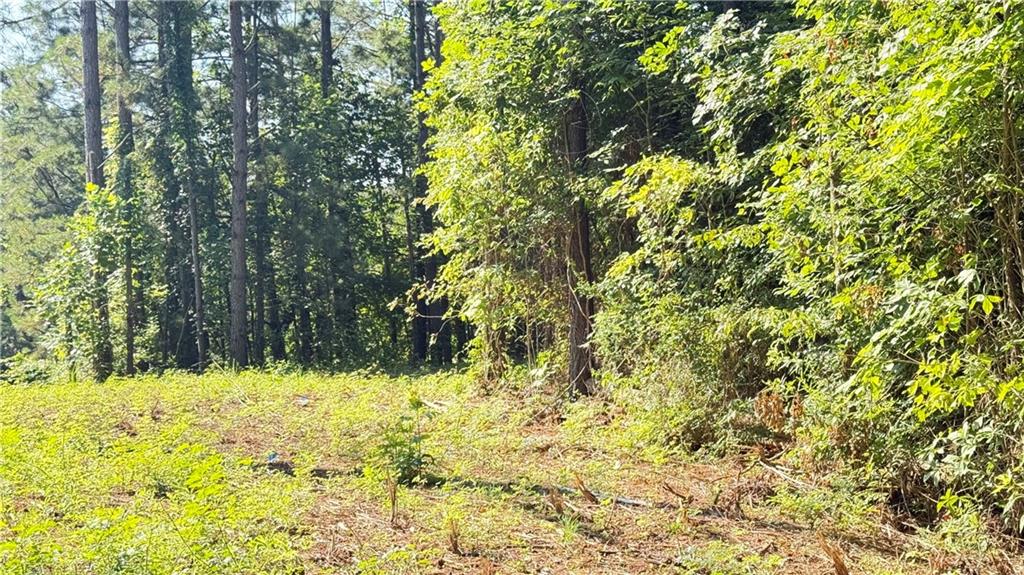 8 Sweetwater Bend Villa Rica, GA 30180 - Photo 5 of 12 a view of a yard covered in snow