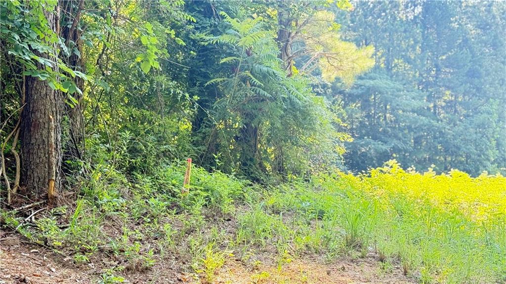 8 Sweetwater Bend Villa Rica, GA 30180 - Photo 6 of 12 a view of a yard with plants