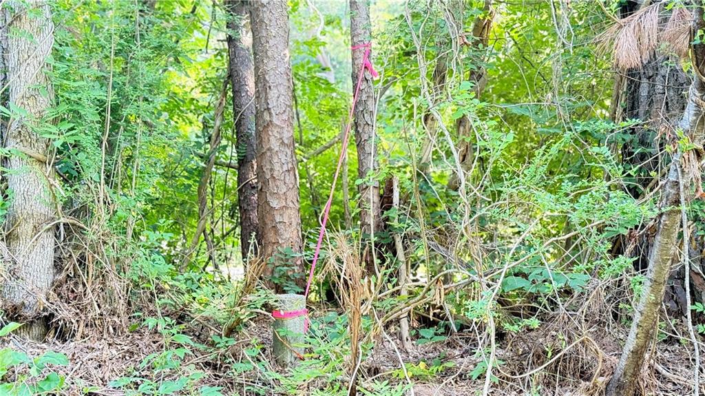 8 Sweetwater Bend Villa Rica, GA 30180 - Photo 7 of 12 a close up of a plant in a garden