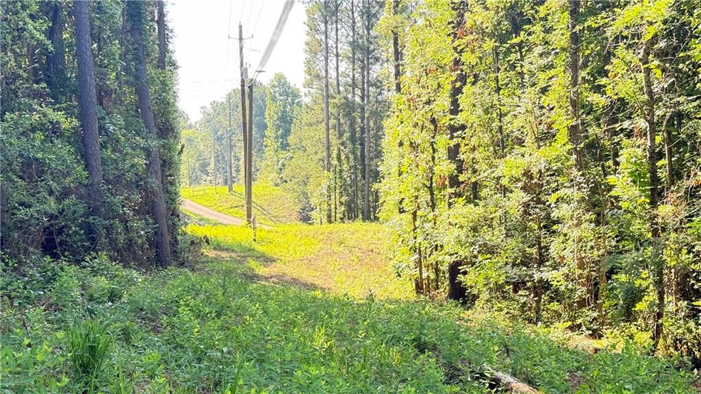 8 Sweetwater Bend Villa Rica, GA 30180 - Photo 8 of 12 a view of yard with swimming pool and green space