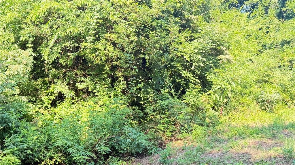 8 Sweetwater Bend Villa Rica, GA 30180 - Photo 9 of 12