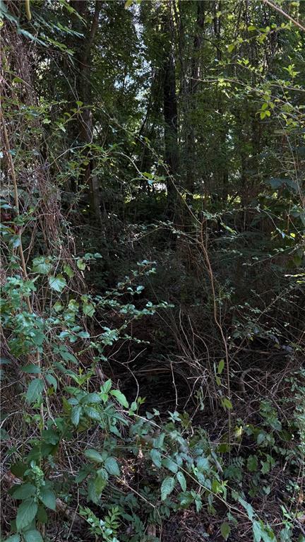 8 Sweetwater Bend Villa Rica, GA 30180 - Photo 10 of 12 a view of bushes