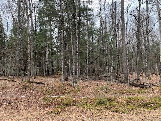 On Forest Lake Road, Unit LOT 2 Land O'Lakes, WI 54540 - Photo 1 of 2 Gallery Image 1