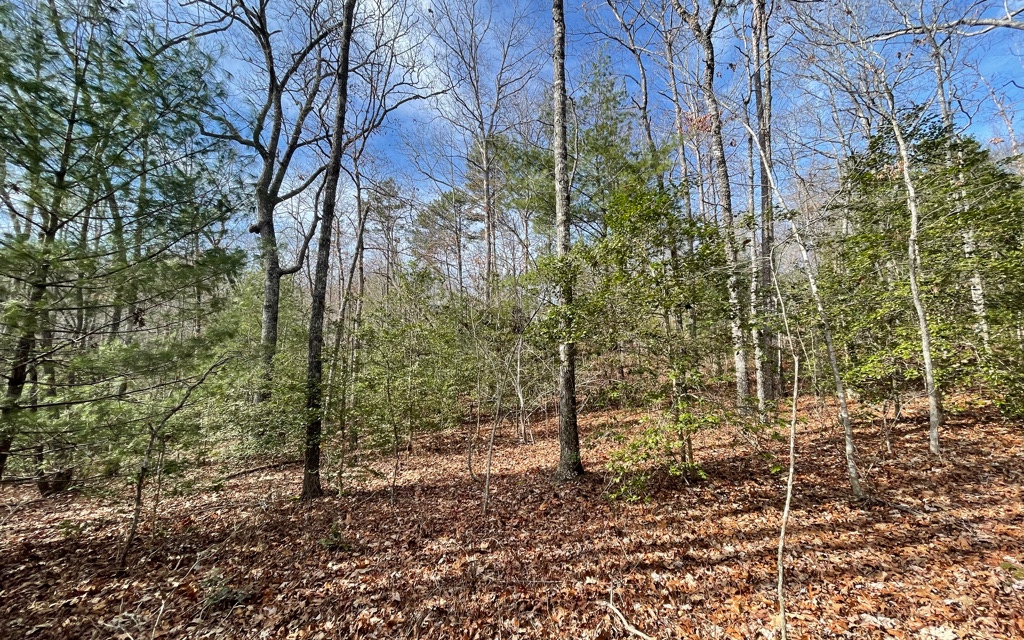 5.9-ac Voylestown Road Morganton, GA 30560 - Photo 17 of 22 Additional View