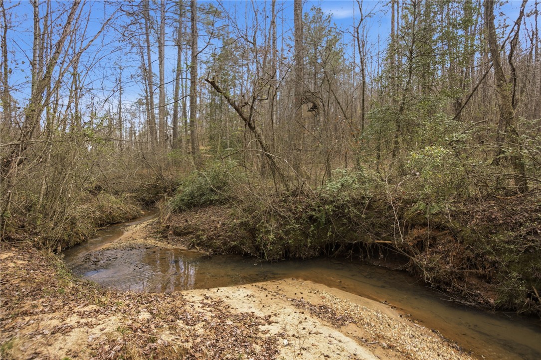 196 Flyroot Trail Pickens, SC 29671 - Photo 36 of 48 A tranquil creek winds through a lush, verdant forest under a clear sky.