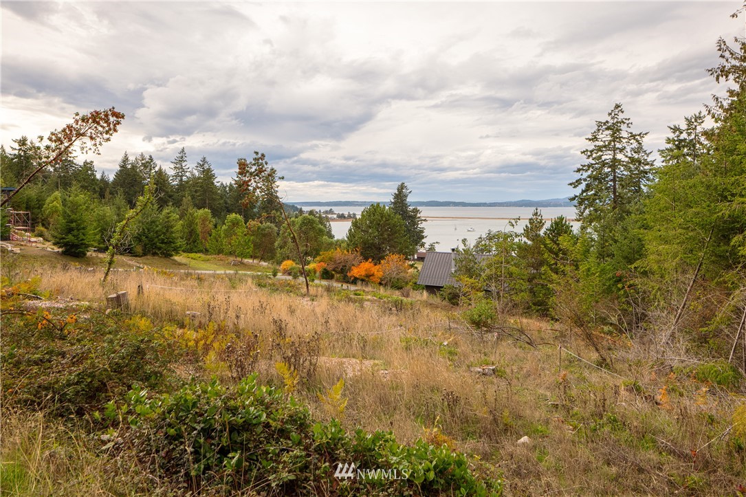 295 Rum Runner Road Lopez Island, WA 98261 - Photo 8 of 10 a view of lake view and mountain