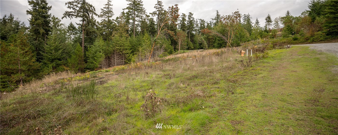 295 Rum Runner Road Lopez Island, WA 98261 - Photo 9 of 10 a view of a large yard with trees in the background