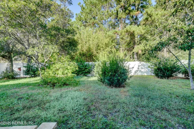 a backyard of a house with plants and large tree
