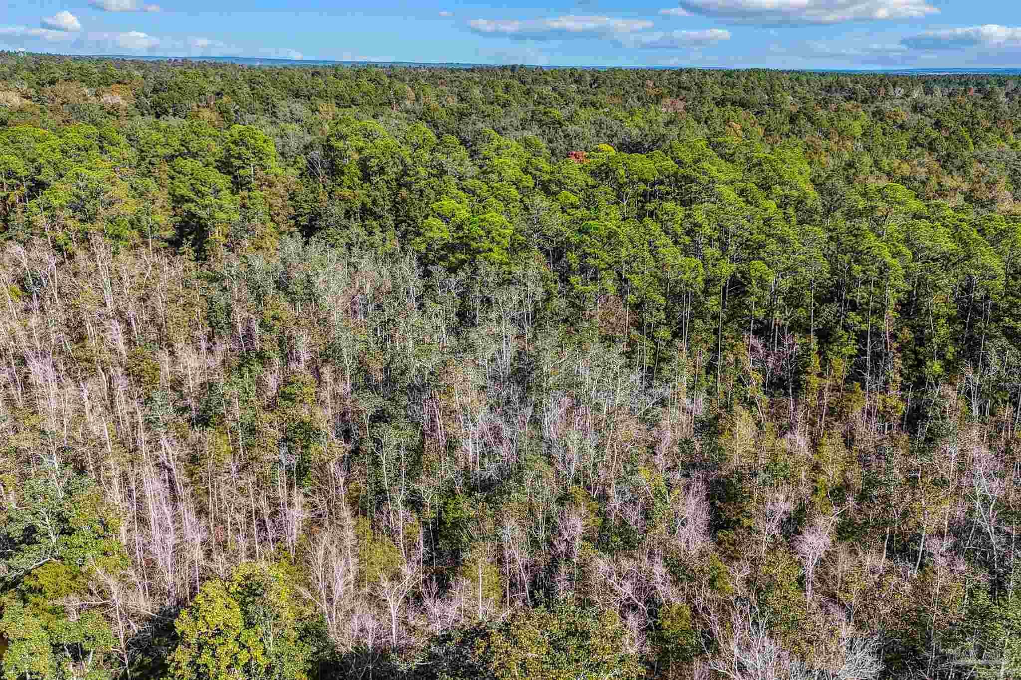 7665 Lund Road Milton, FL 32570 - Photo 11 of 46 Gallery Image 11