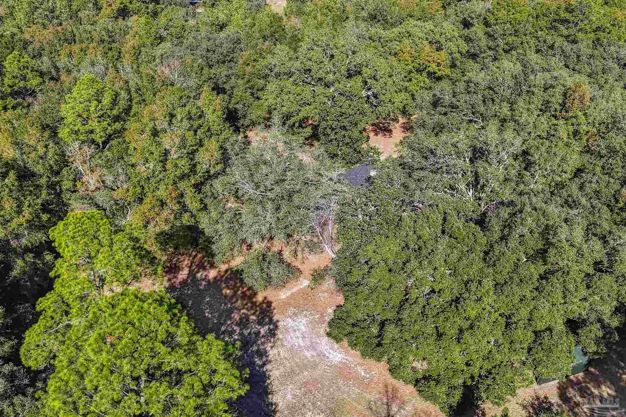 7665 Lund Road Milton, FL 32570 - Photo 12 of 46 Gallery Image 12